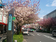 桜新町